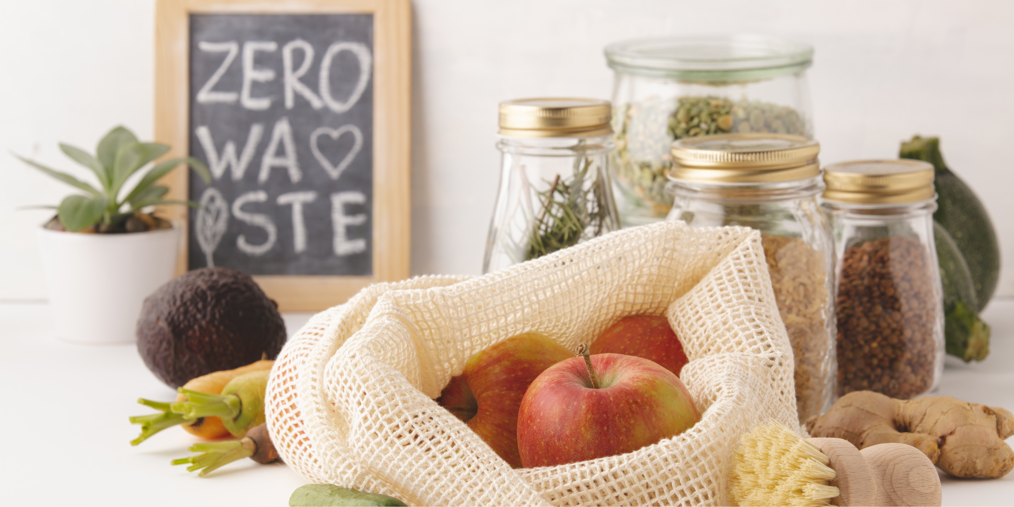 Udržitelnost pro naši planetu