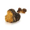 chaga.761696527