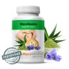 mycogastro vitalni 2.761696527