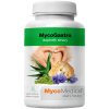 mycogastro vitalni.761696527