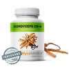 cordyceps vitalni 2.761696527